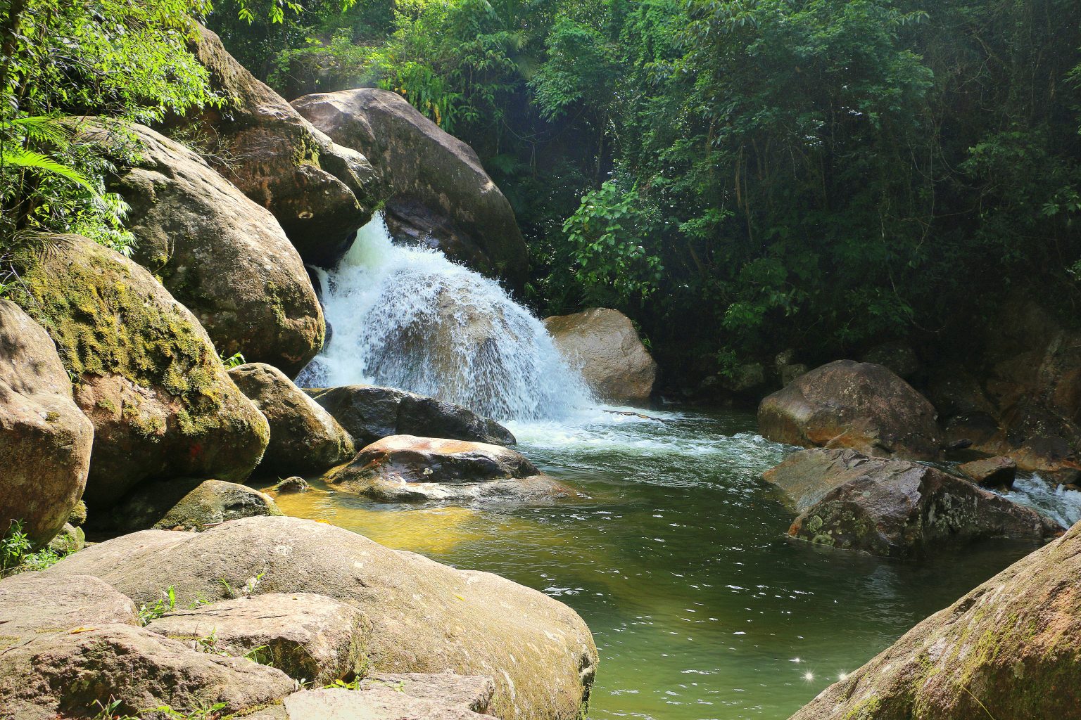 SP amplia área do Parque Estadual Serra do Mar e incorpora espécies ameaçadas de extinção